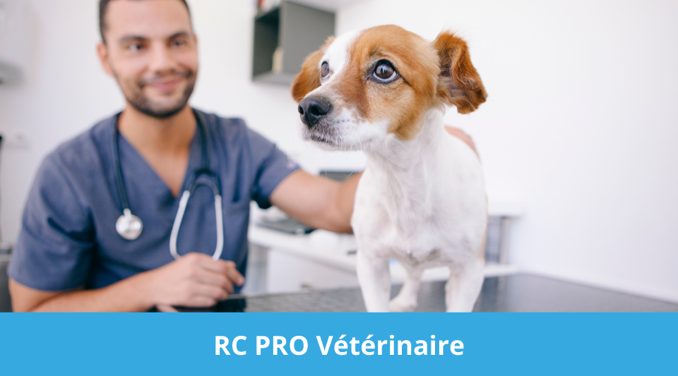 Professionnel vétérinaire disposant d'une couverture d'assurance pro responsabilité civile